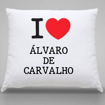 Almofada Alvaro de carvalho