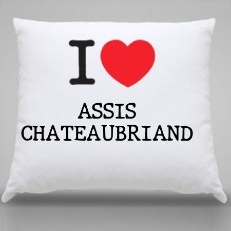 Almofada Assis chateaubriand