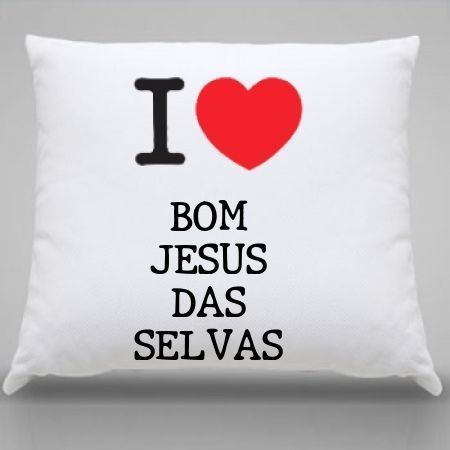 Almofada Bom jesus das selvas