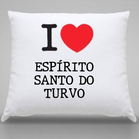 Almofada Espirito santo do turvo