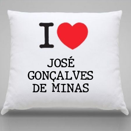 Almofada Jose goncalves de minas