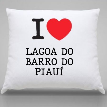 Almofada Lagoa do barro do piaui