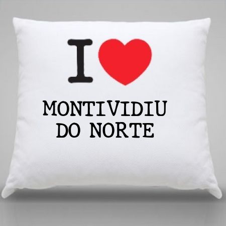 Almofada Montividiu do norte