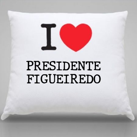 Almofada Presidente figueiredo