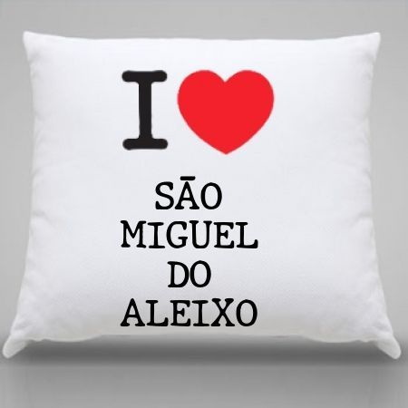 Almofada Sao miguel do aleixo