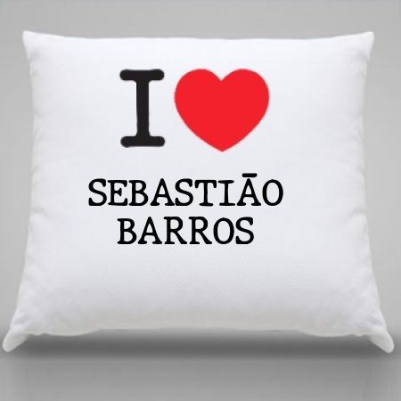 Almofada Sebastiao barros