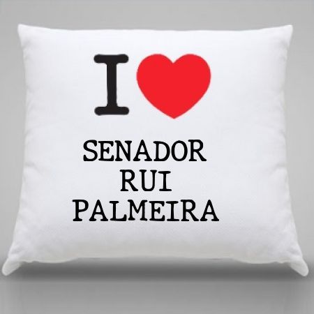 Almofada Senador rui palmeira