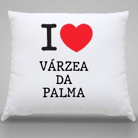 Almofada Varzea da palma