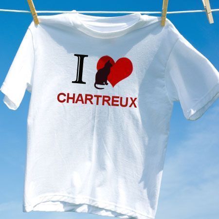 Camiseta Gato Chartreux