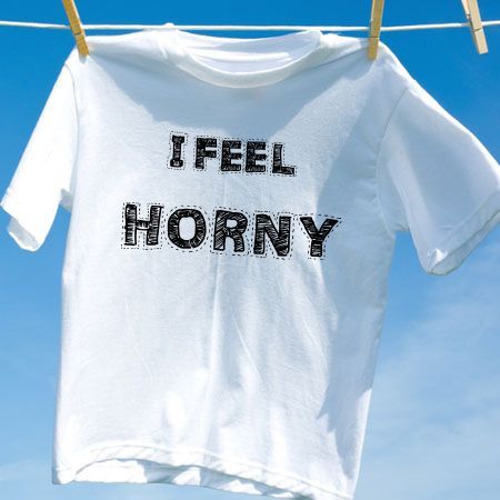 Camiseta i feel horny