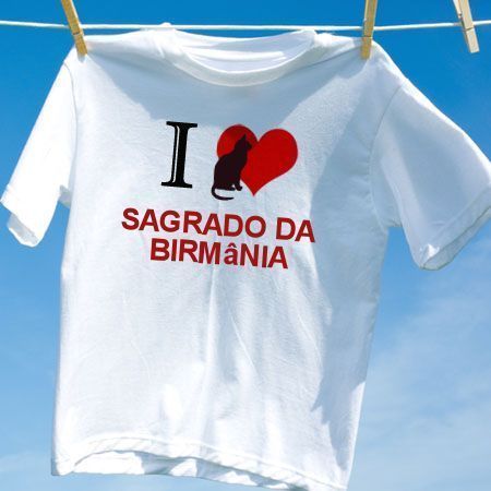 Camiseta Gato Sagrado Da Birmânia