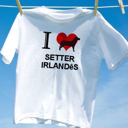 Camiseta Setter irlandes