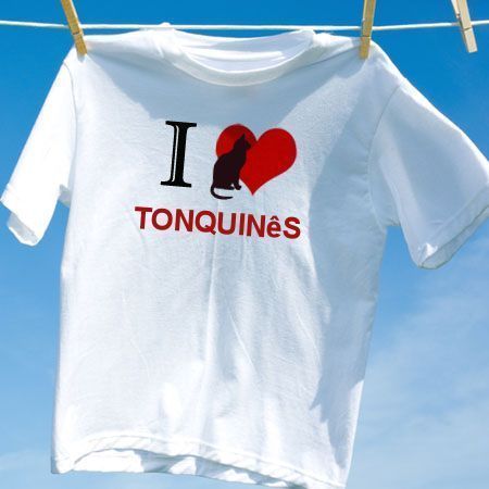 Camiseta Gato Tonquinês